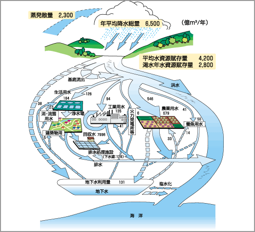 日本の水資源